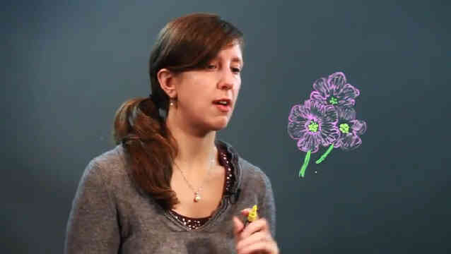 Как нарисовать африканскую Фиалку