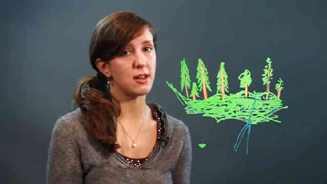 Как нарисовать лес фон легкий путь, шаг за шагом