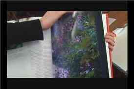 Цветовые температуры в природе