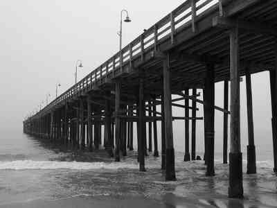 Требования экспортной лицензии в Калифорнии