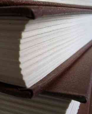 Программы Страхования Аудит