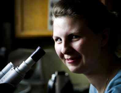 Требования к техническому обслуживанию для Ламинарного потока капот