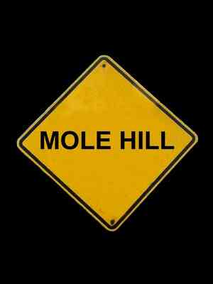 Управление Изменениями С Юмором