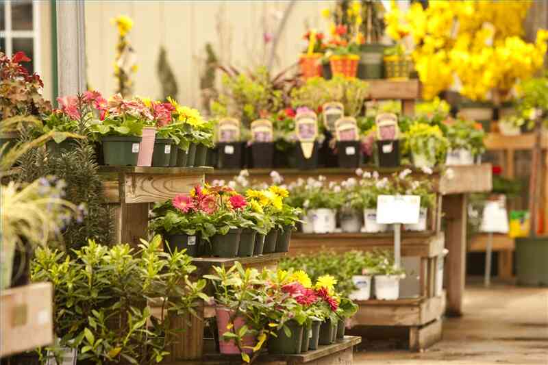 Как написать бизнес-план для цветочного магазина