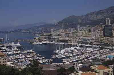 Как заменить суставы Монте-Карло резюме