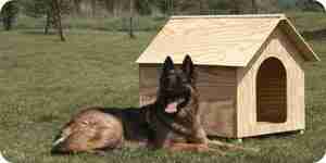 Сделать собаку дома: деревянный дом собаки